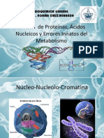 Acidos Nucleicos - 22