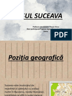 Presentation PDF