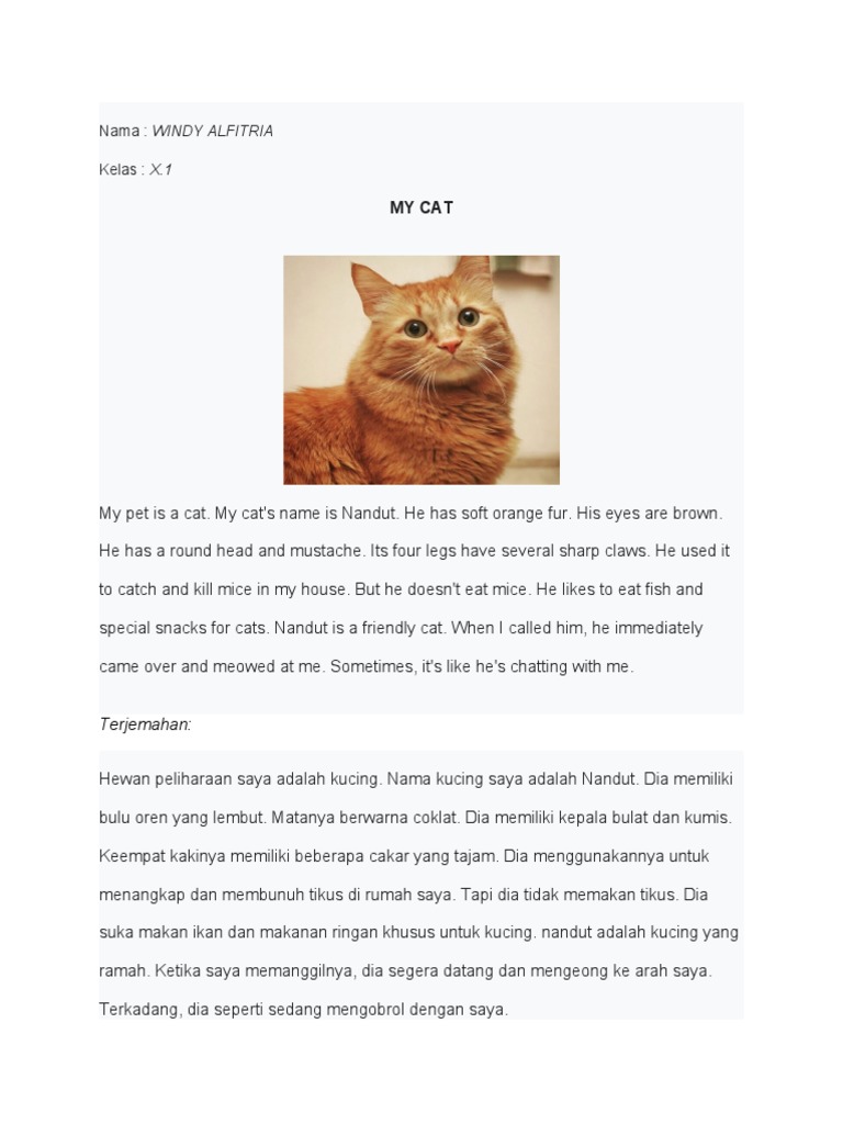 My Pet Is A Cat | PDF