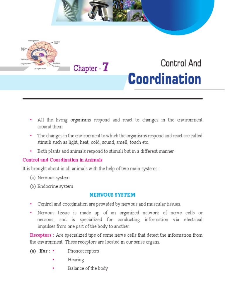 Control and Coordination in Organisms | PDF | Hormone | Nervous System