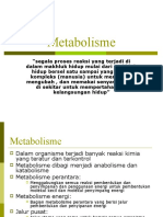 Pengantar Metabolisme Umum