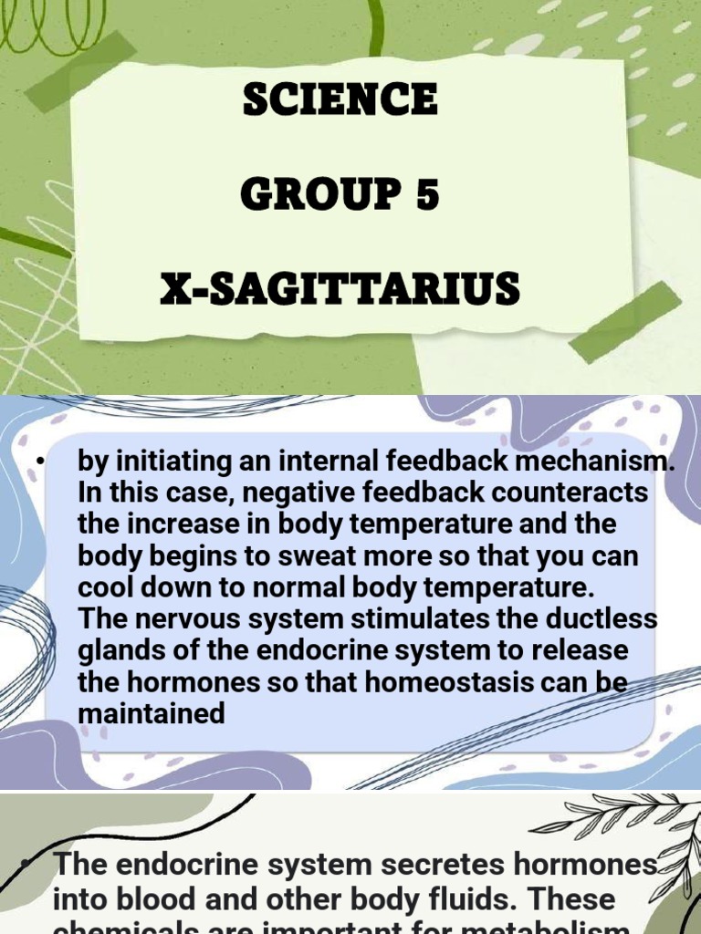 Science Worksheet | PDF