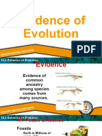 Module 8 The Theories of Evolution and The Evidences Supporting Them