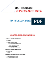 documen.site_kuliah-histologi-sistem-reproduksi-pria.pdf