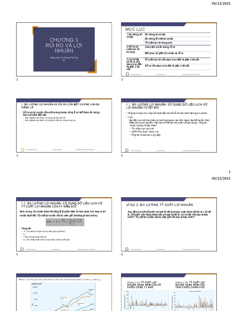 C3 Loi Nhuan Va Rui | PDF