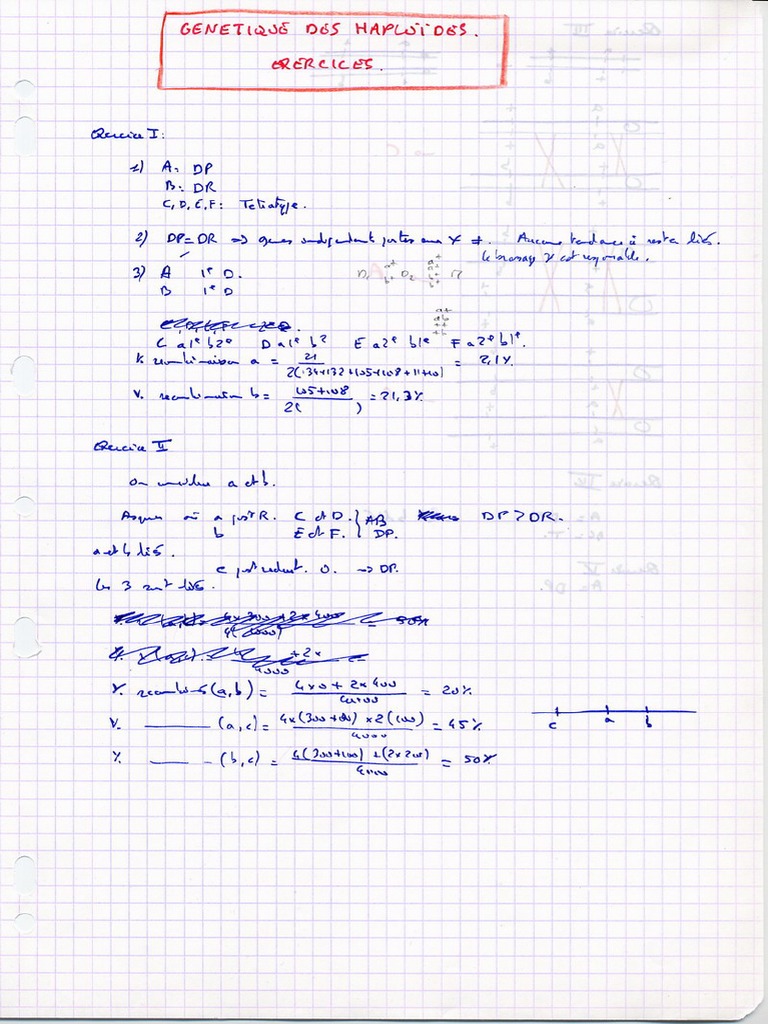 8 U S C 1225 visual data 4