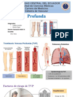 Trombosis Venosa Profunda