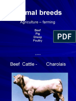 Animal Breeds