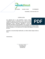 Luis Ochoa PDF
