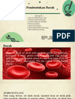 Patofisiologi Kel 2 Proses Pembentukan Darah