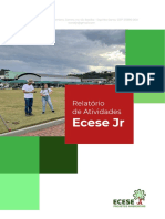 Relatorio - Ecese PDF