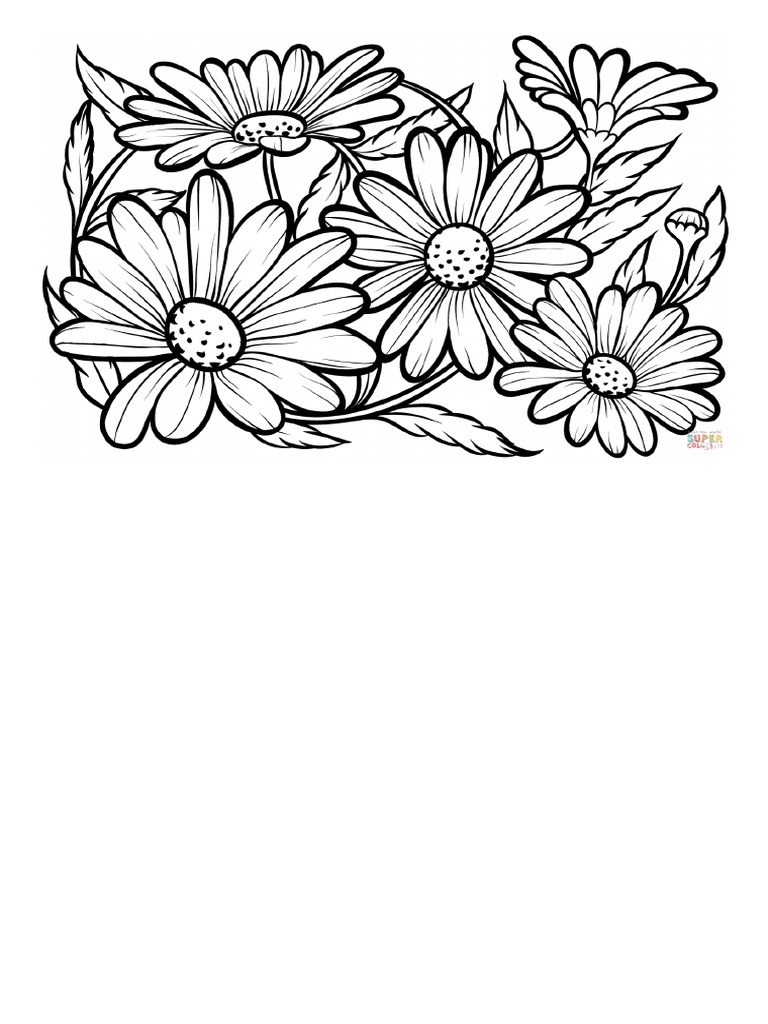 Daisies Coloring Page - Free Printable Coloring Pages | PDF