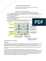 Tema 4. Uniones Intercelulares