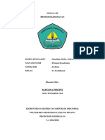 Makalah Promosi Kesehatan - Rafelina Pertiwi PDF