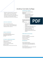 C.V Andrey Corrales PDF
