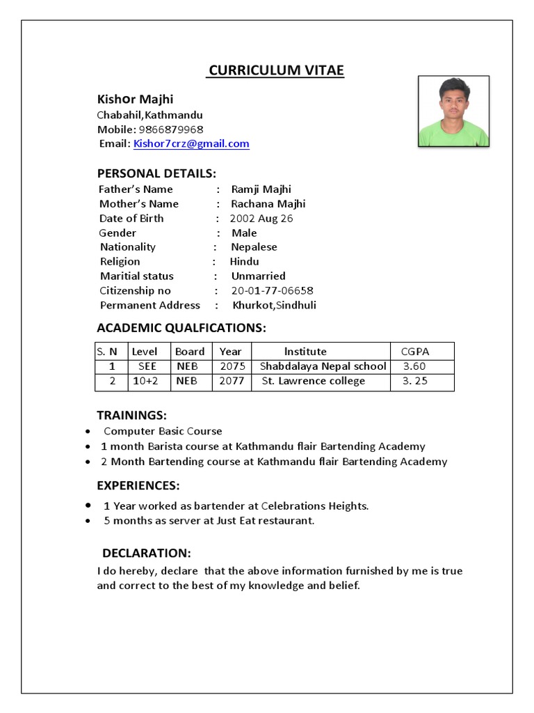 CURRCULUM ViTAE PDF | PDF