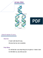 Chương IV -Sự tái bản DNA