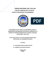 Tesis Hidalgo, Injante PDF