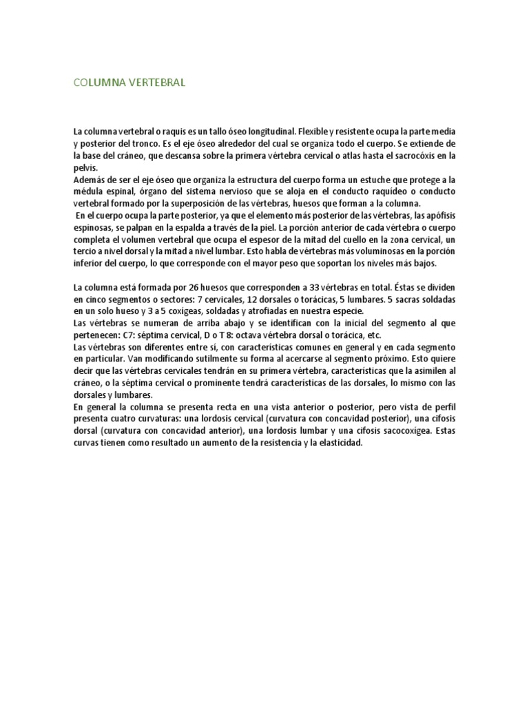 Estructura y Función de la Columna Vertebral | PDF | Vértebra | La ...