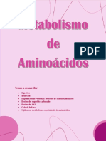 Metabolismo Aminoacidos