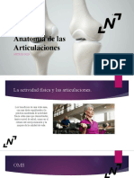 Articulaciones 3 PDF