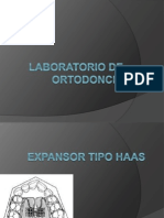 Lab Orto Haas