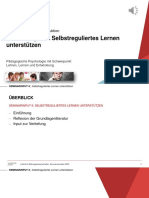 BWi4 - SS20 - BH - Mo - e - Seminarinput 6 - Selbstreguliertes Lernen PDF