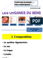 Les Organes Du Sens IBS 2