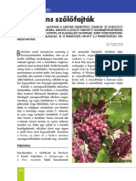 EPA03216 Kertikal 2017 01-02 030-032 PDF