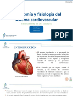 Generalidades Anatomia y Fisiología Del Sistema Cardiovascular (12) .Odp