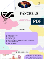 Pancreas Endoctrino Fisiología