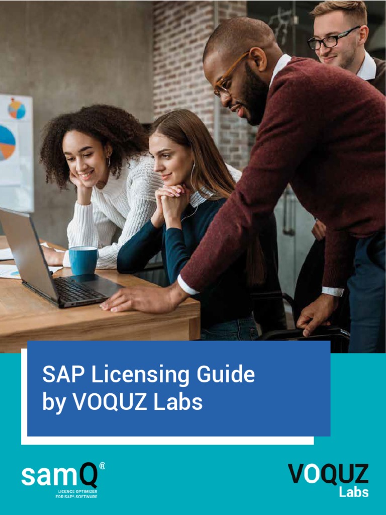 samQ_Whitepaper___SAP_Licensing_Guide___EN.pdf PDF Audit Databases