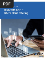 White Paper RISE With SAP PDF