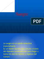 Teorico 4 - Sangre y Sistema Linfatico PDF