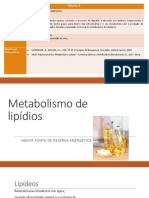 Aula 3 - METABOLISMO LIPÍDEOS..pdf