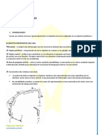 Grandes Vias Aferentes - Resumo PDF