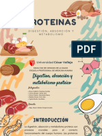 PROTEINAS