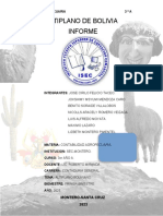 Informe Sobre El Altiplano