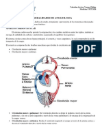 Generalidades Angiologia PDF