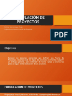 fORMULACION DE PROYECTOS