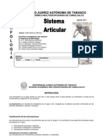 Sistema Articular