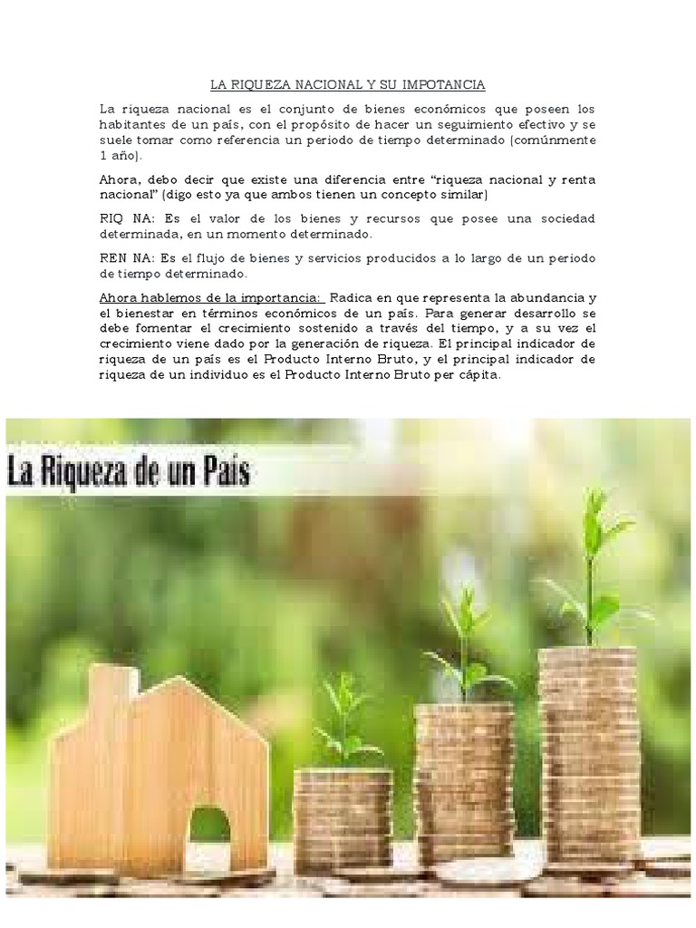 La Riqueza Nacional y Su Impotancia | PDF