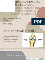 Articulacion Rodilla