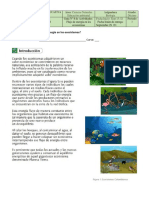 Biologia 8 PDF