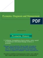 Pyometra 100515015011 Phpapp02 PDF