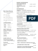 Curriculum Vitae Racem PDF