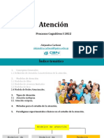 Atención - Procesos Cognitivos - 2022 - 2