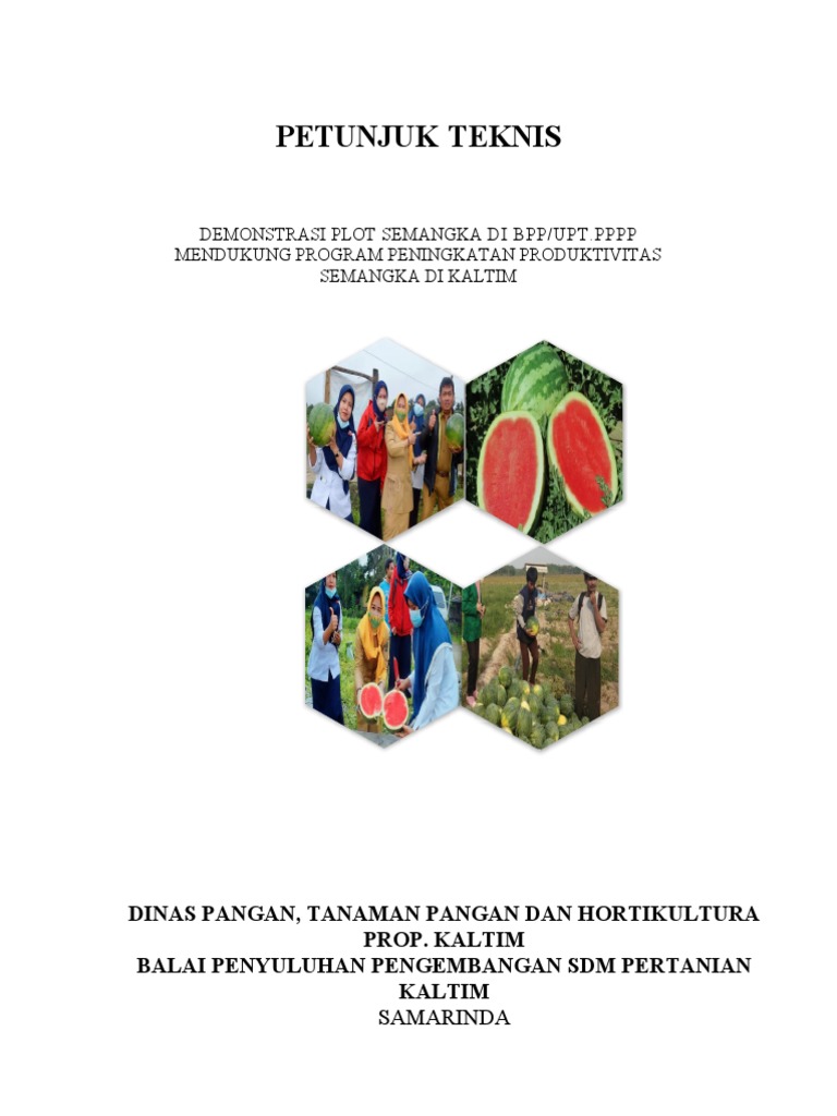 Petunjuk Teknis Demplot Semangka Kaltim | PDF