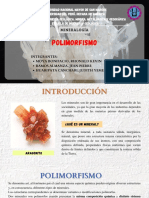 POLIMORFISMO - GRUPO 2.pdf