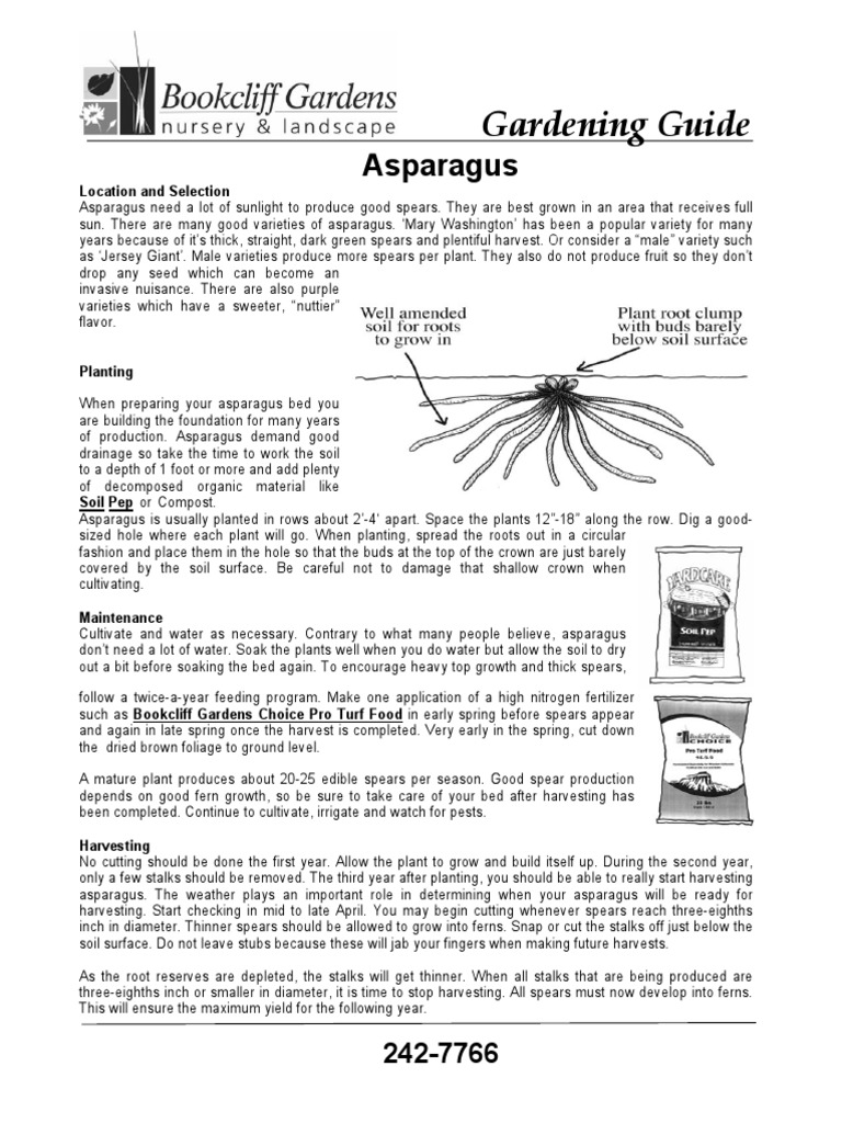 Planting Asparagus PDF
